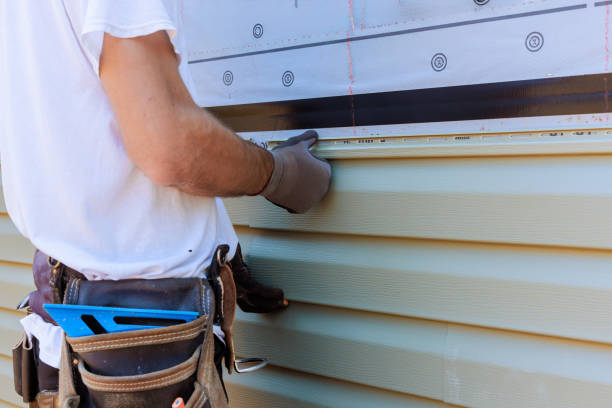 Best Siding Repair  in Mledgevle, IL